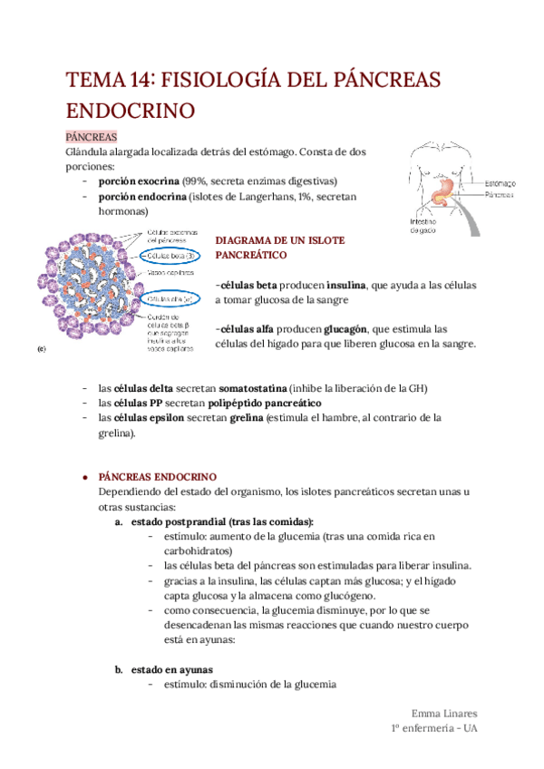 Miniatura del documento TEMA-14.pdf