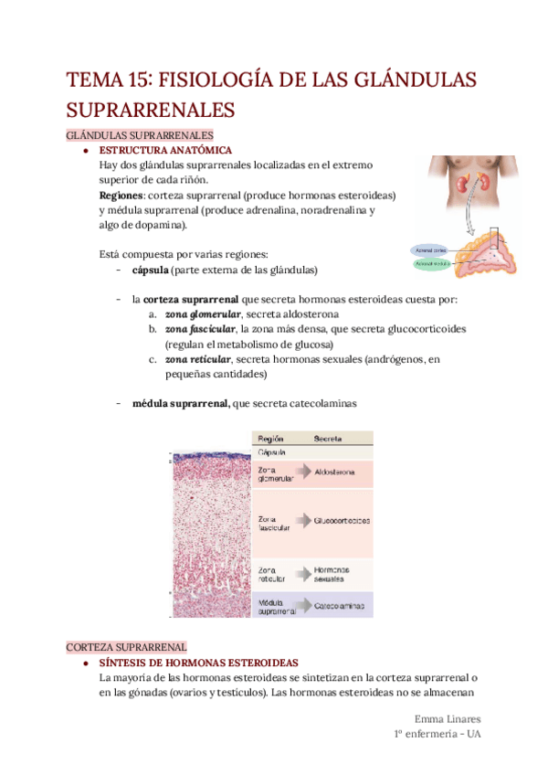 Miniatura del documento TEMA-15.pdf