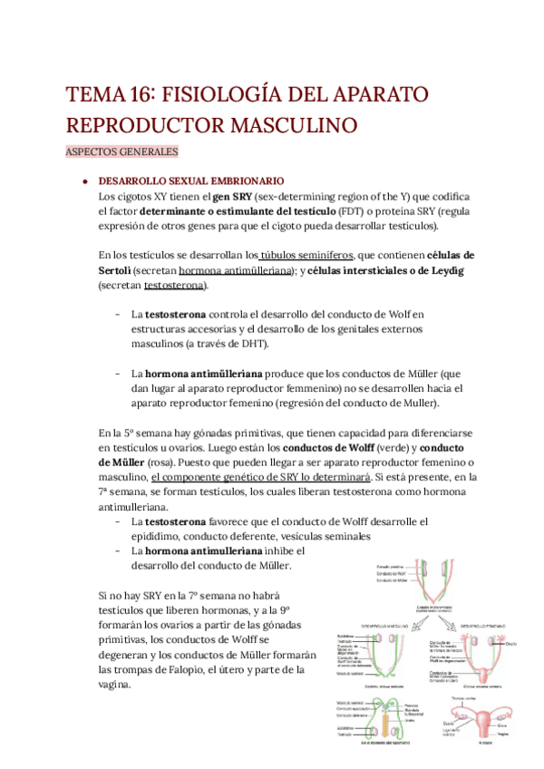 Miniatura del documento TEMA-16.pdf