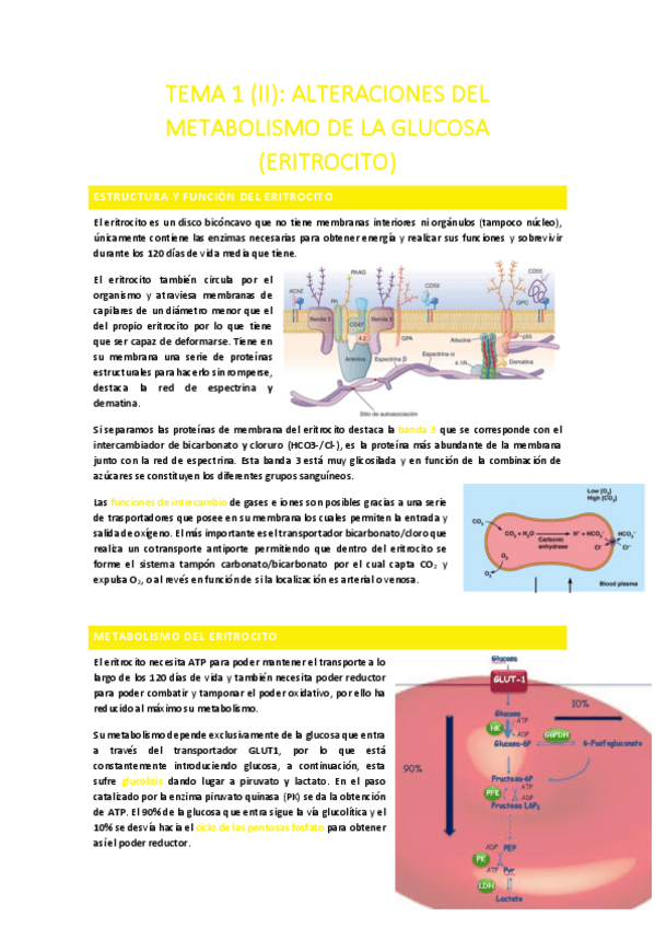 Miniatura del documento TEMA-1-II.pdf