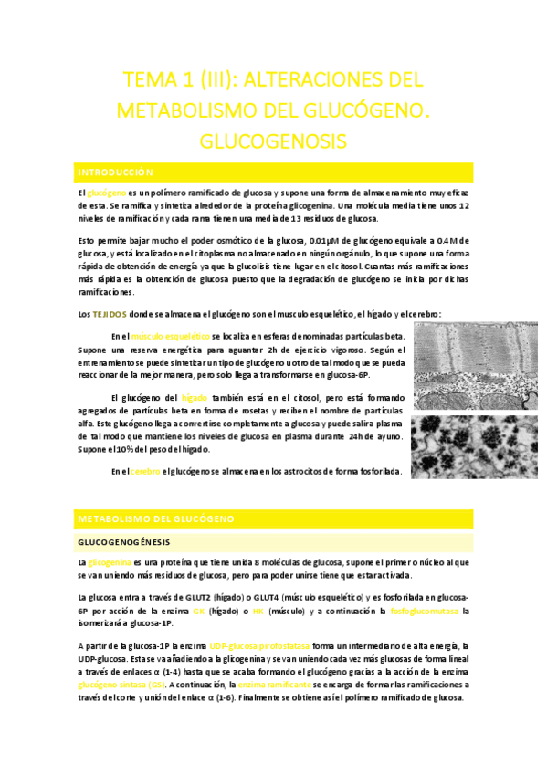 Miniatura del documento TEMA-1-III.pdf