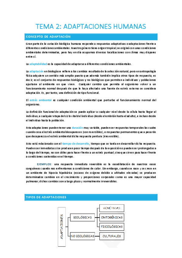Miniatura del documento TEMA-2.pdf