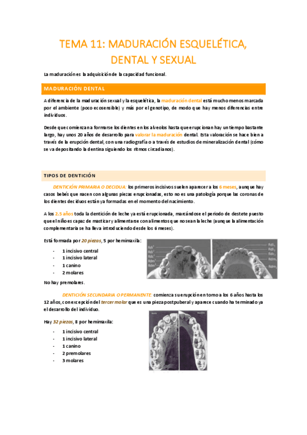 Miniatura del documento TEMA-11.pdf