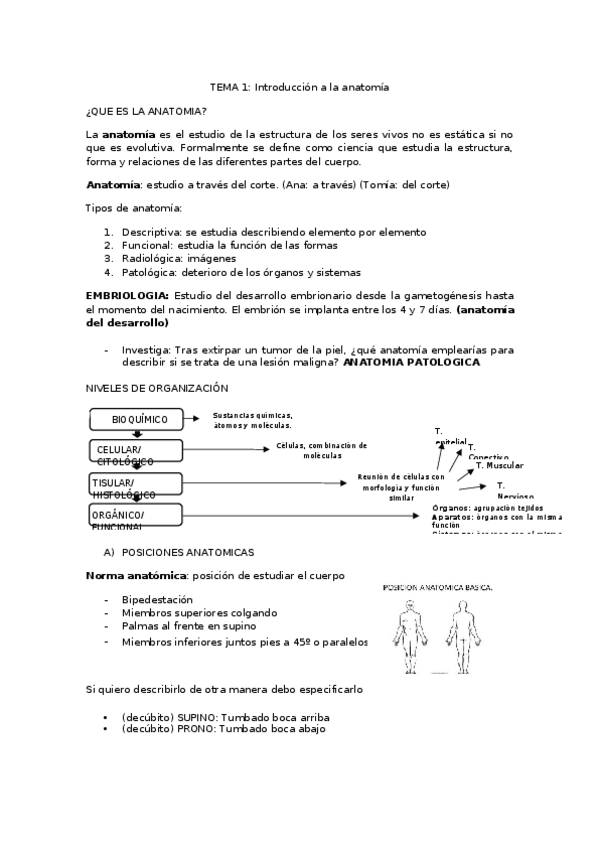 Miniatura del documento A.H-tema-1.docx