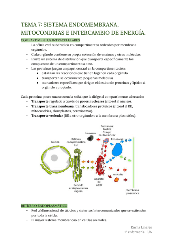 Miniatura del documento TEMA-7.pdf