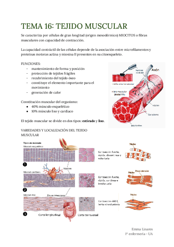 Miniatura del documento TEMA-16.pdf