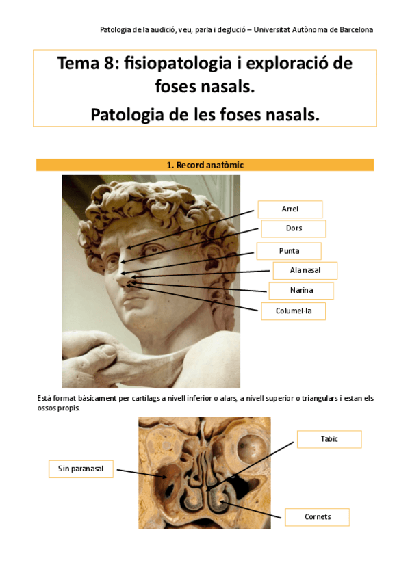 Miniatura del documento pato-tema-8.pdf