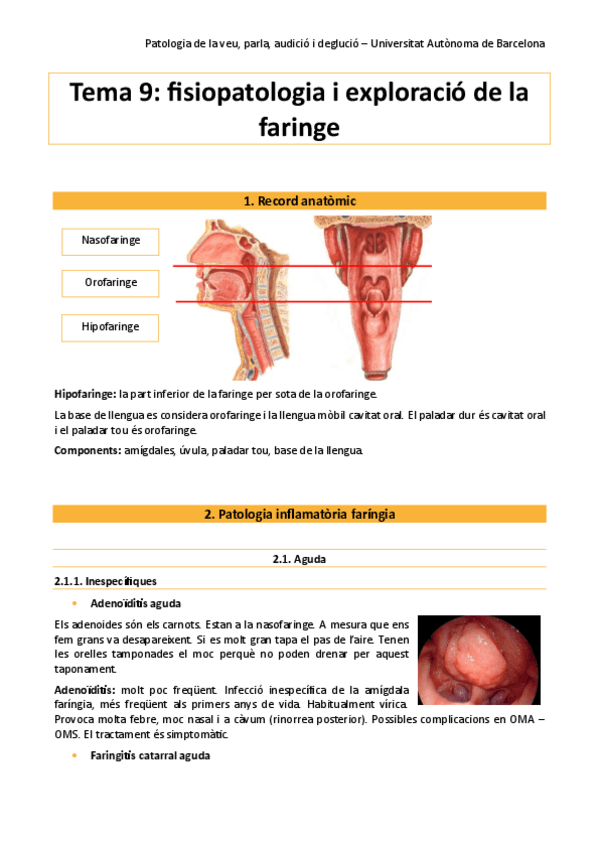 Miniatura del documento pato-tema-9.pdf