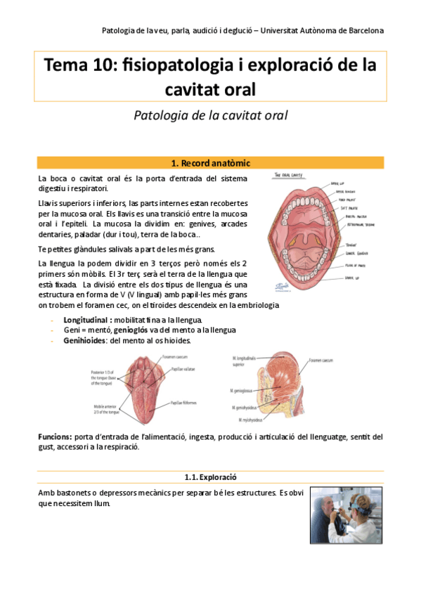 Miniatura del documento pato-tema-10.pdf