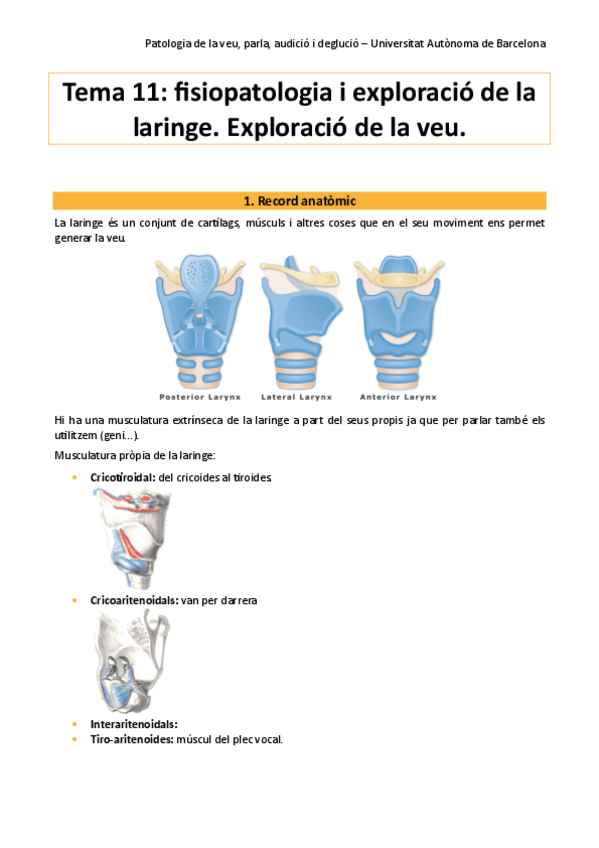 Miniatura del documento pato-tema-11.pdf