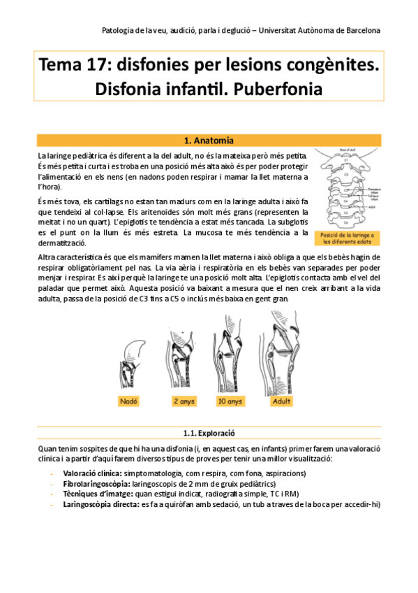 Miniatura del documento pato-tema-17.pdf