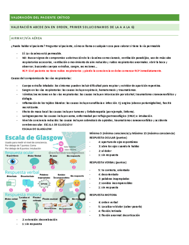 Miniatura del documento FISIOPATO-CRITICOS-APUNTES.pdf