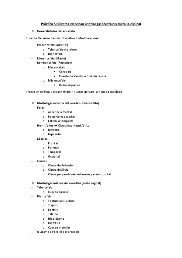 Miniatura del documento practica-4.-sistema-nervioso-I.pdf