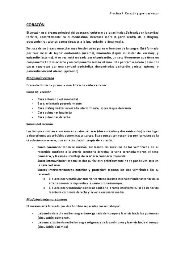 Miniatura del documento practica-7.-corazon-y-vasos-sanguineos.pdf