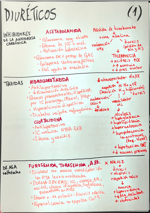 Miniatura del documento DIURETICOS.pdf