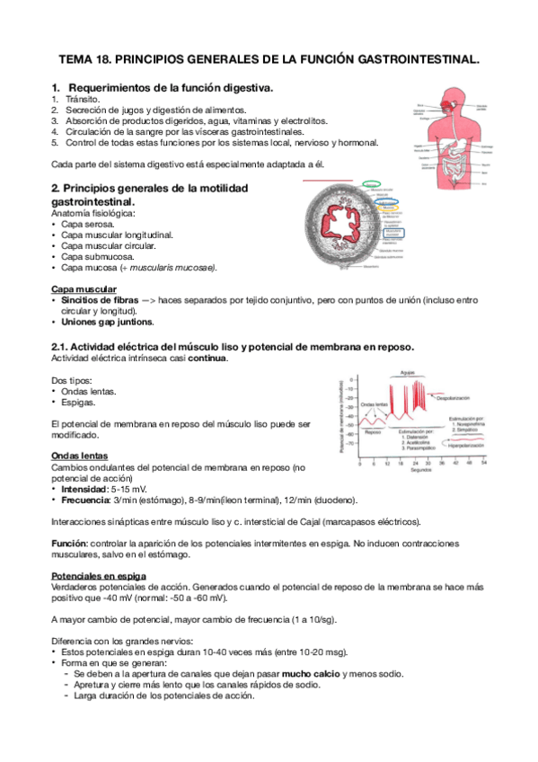 Miniatura del documento Digestivo.pdf