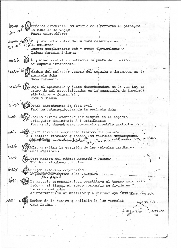 Miniatura del documento escanear0010.jpg