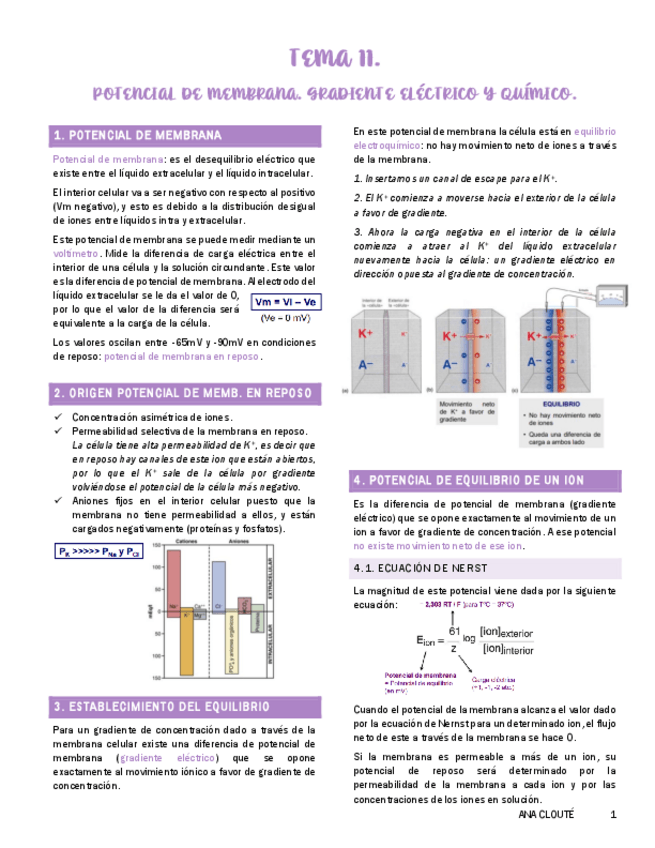 Miniatura del documento Tema-11-Fisiologia.pdf