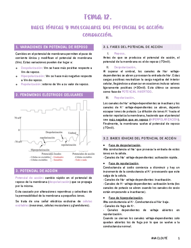 Miniatura del documento Tema-12-Fisiologia.pdf