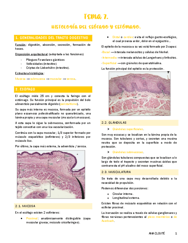 Miniatura del documento Tema-7.pdf