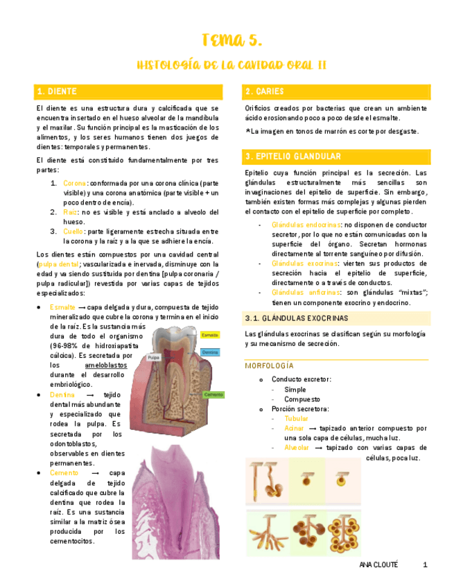 Miniatura del documento Tema-5.pdf