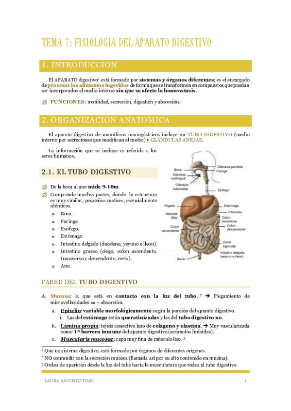 Miniatura del documento Tema-7-Fisiologia-del-aparato-digestivo-y-Nutricion.pdf