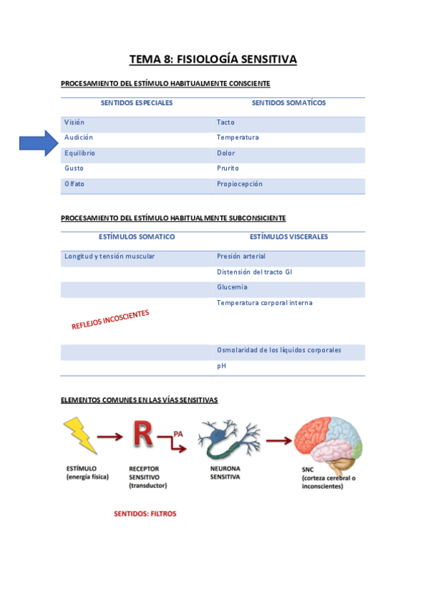 Miniatura del documento TEMA-8-fisiologia-sensitiva.pdf