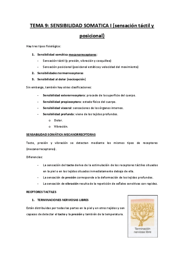 Miniatura del documento TEMA-9-sensibilidad-somatica-I.pdf