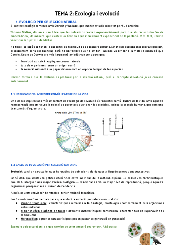 Miniatura del documento eco-Temes-2-4.pdf