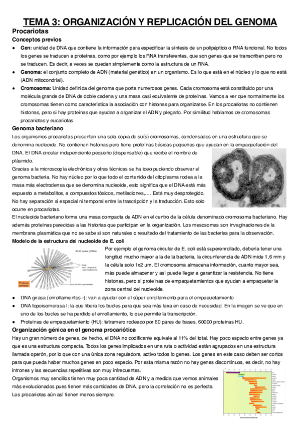 Miniatura del documento Tema-3.pdf