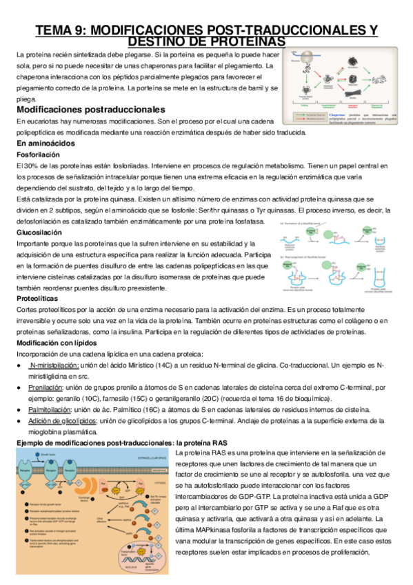 Miniatura del documento Tema-9.pdf