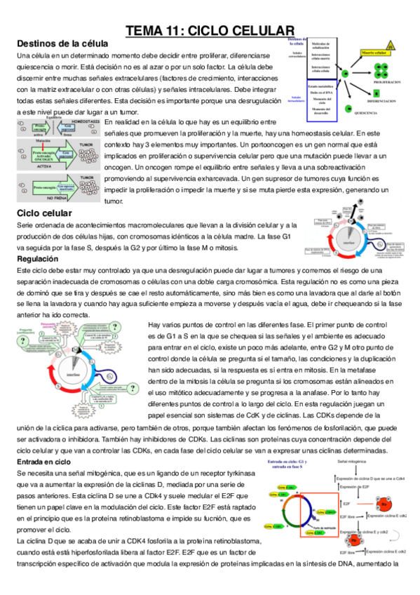 Miniatura del documento Tema-11.pdf