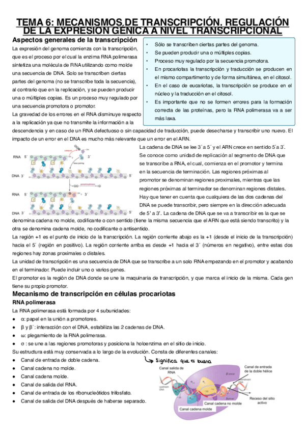 Miniatura del documento Tema-6.pdf