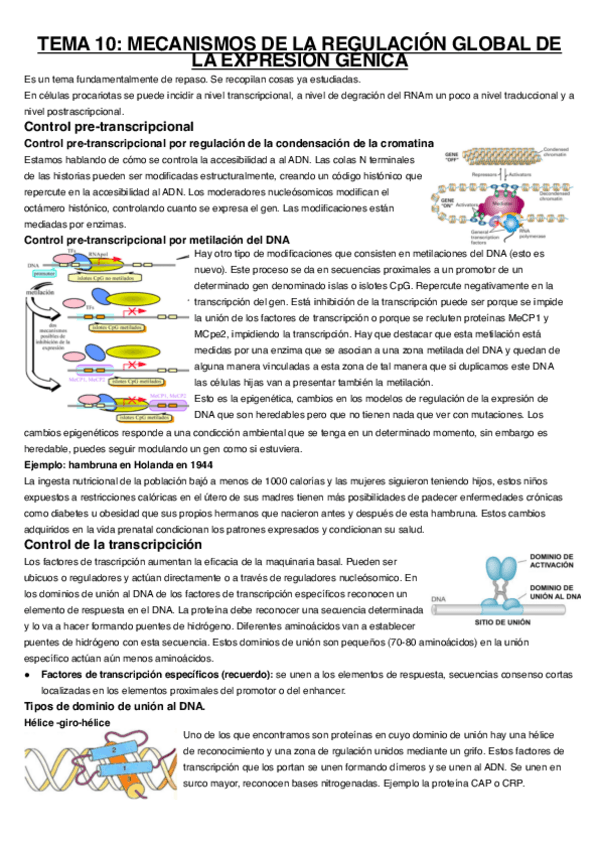 Miniatura del documento Tema-10.pdf