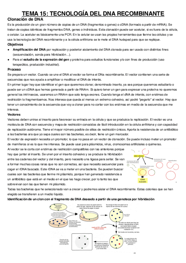 Miniatura del documento Tema-15.pdf