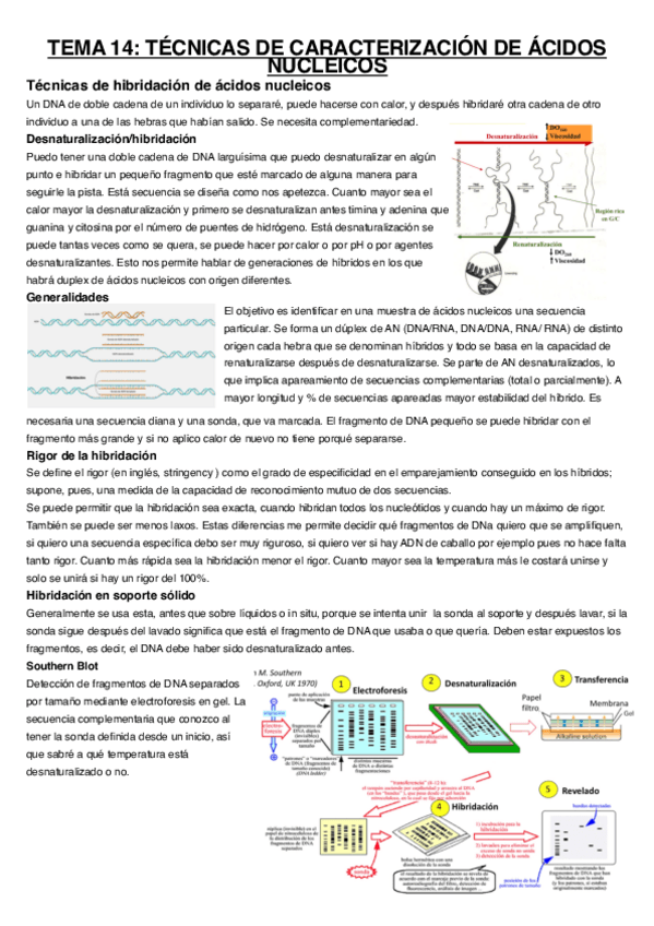 Miniatura del documento Tema-14.pdf