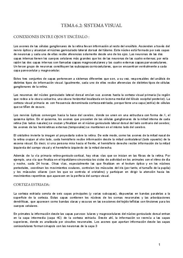 Miniatura del documento TEMA-6.2.-FISIO.pdf