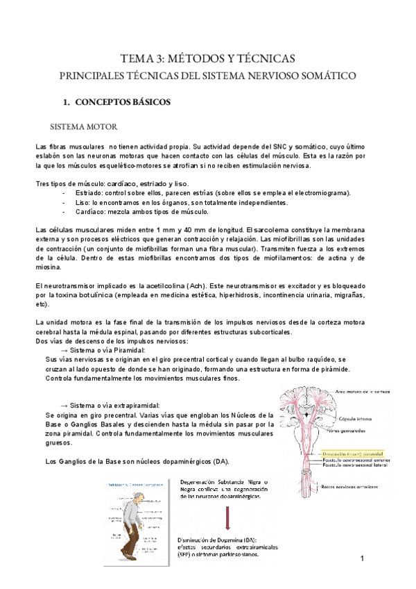 Miniatura del documento TEMA-3-PISCOFISO.pdf