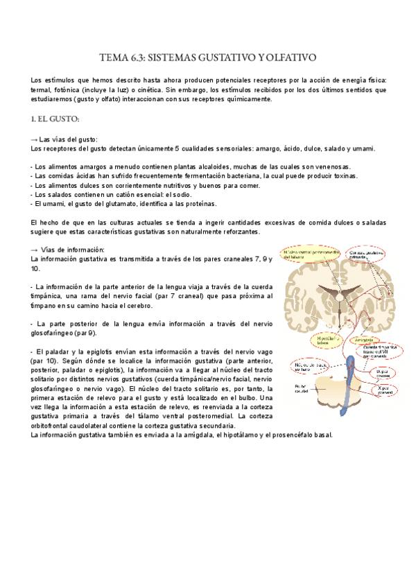 Miniatura del documento TEMA-6.3.pdf