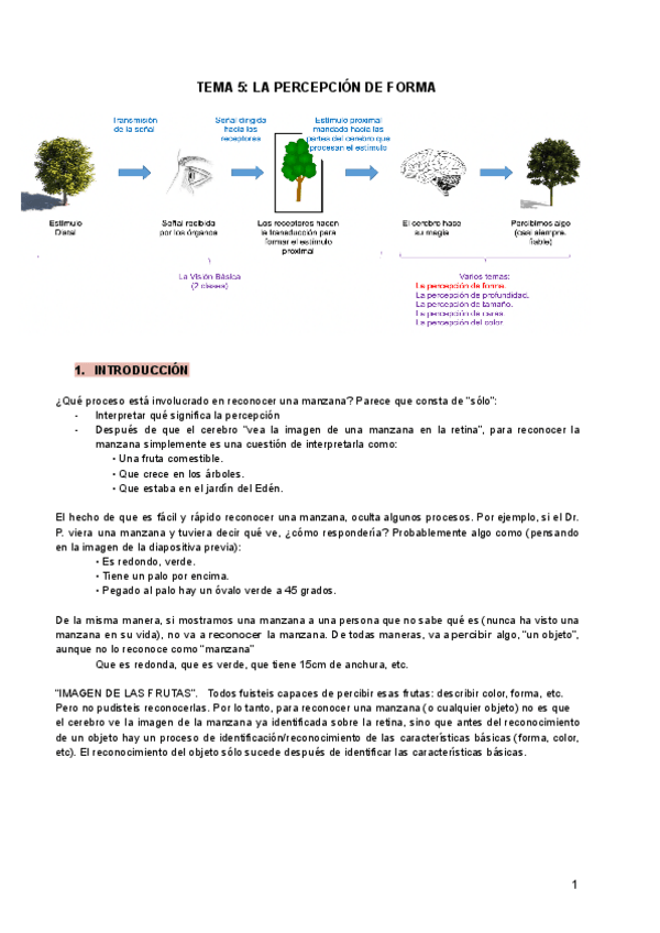 Miniatura del documento TEMA-5-PYA.pdf