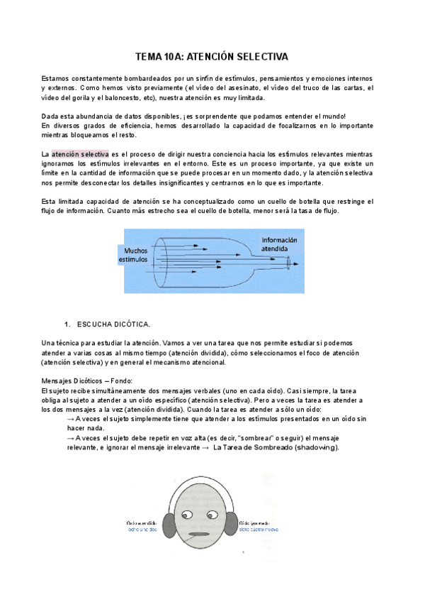 Miniatura del documento TEMA-10A-PYA.pdf