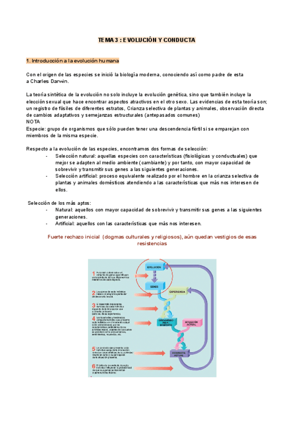 Miniatura del documento TEMA-3-PSICOBIO.pdf