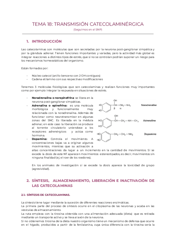Miniatura del documento TEMA-18.pdf