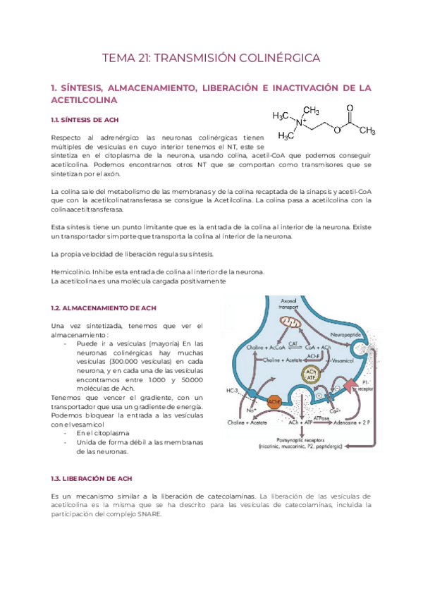 Miniatura del documento Tema-21.pdf