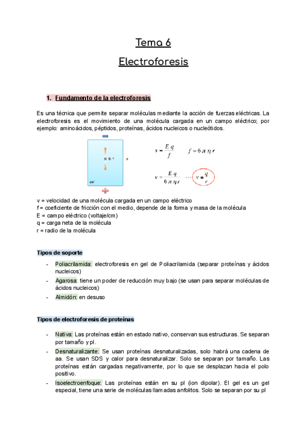 Miniatura del documento Tema-6-PIM-Bioquimica-Electroforesis.pdf