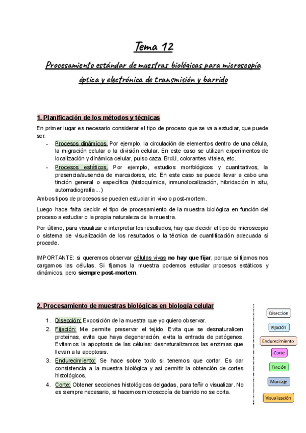 Miniatura del documento Tema-12-BioCel-Procesamiento-de-muestras-biologicas.pdf