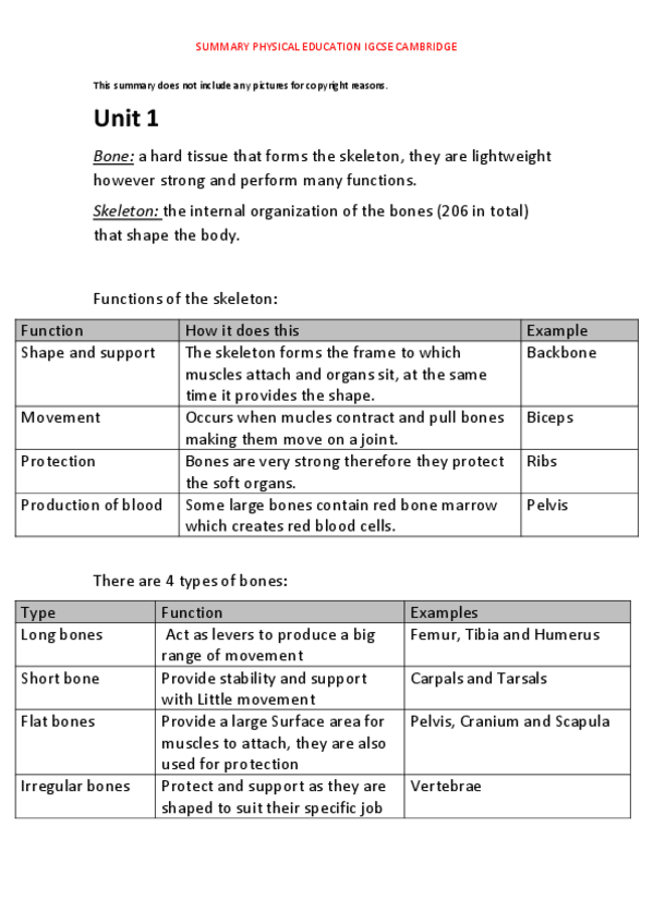 Miniatura del documento PE.pdf