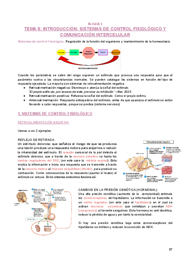 Miniatura del documento 1B-FISIOLOGIA-BLOQUE-2.pdf