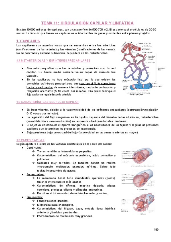 Miniatura del documento 1B-FISIOLOGIA-BLOQUE-3-2.pdf