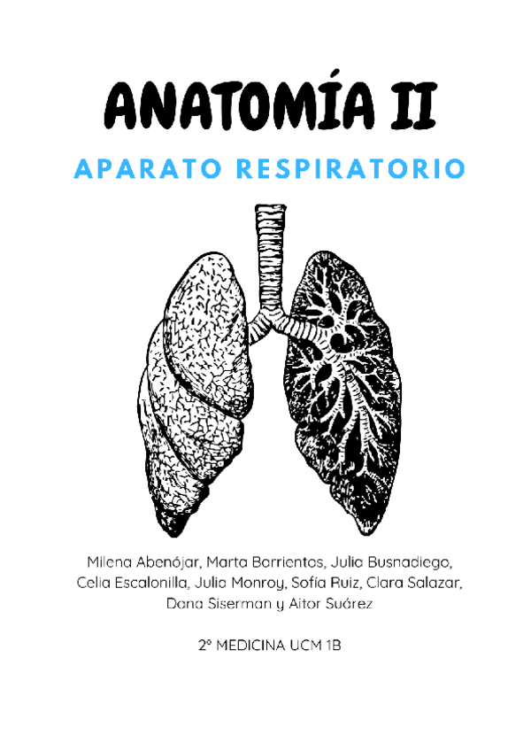 Miniatura del documento ANATOMIA-RESPIRATORIO-1B.pdf